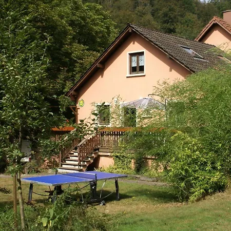 Large With Garden Near The