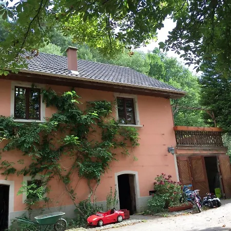 Forest Retreat In Vosges