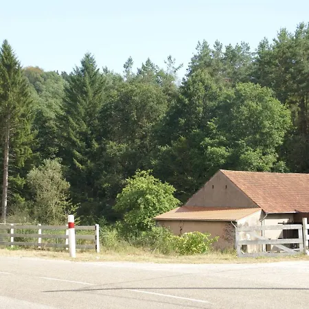Forest Retreat In Vosges