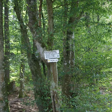 Ferienhaus Forest Retreat In Vosges