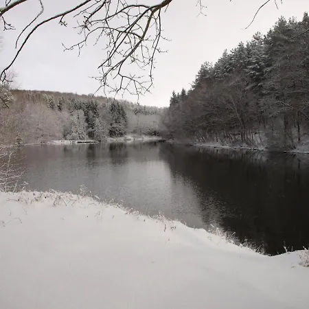 Ferienhaus Forest Retreat In Vosges Hanviller