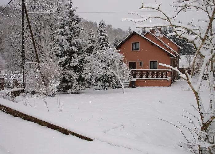 Forest Retreat In Vosges