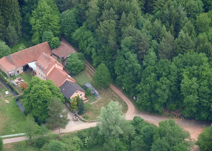 Forest Retreat In Vosges Hanviller
