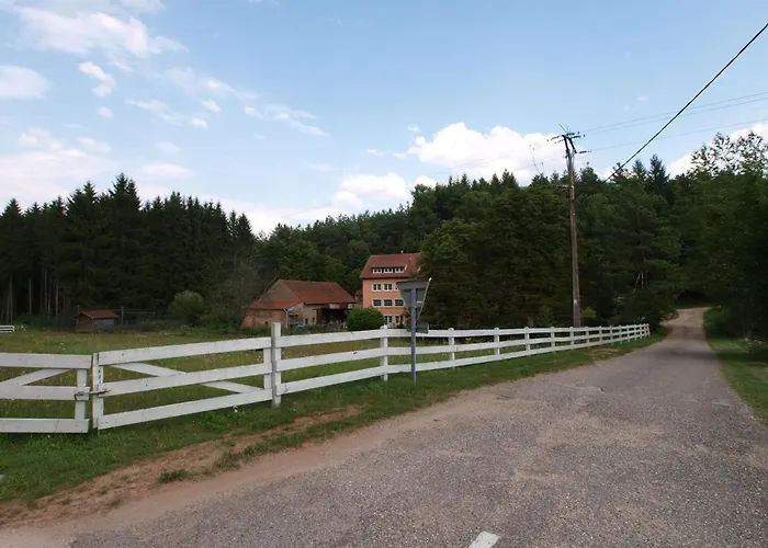 Forest Retreat In Vosges Vakantiehuis