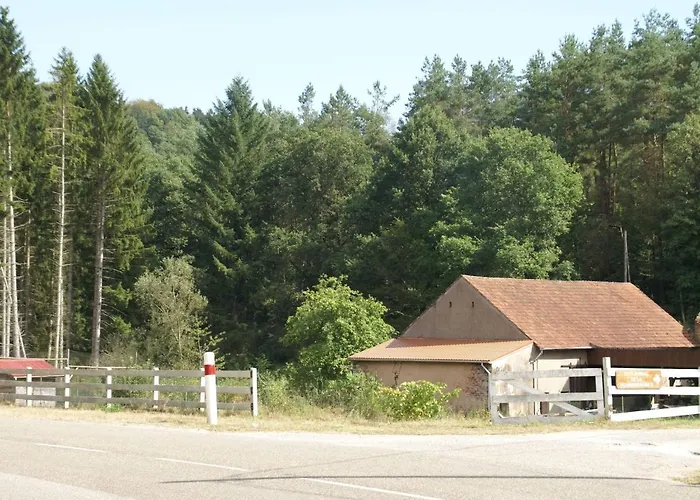 Forest Retreat In Vosges