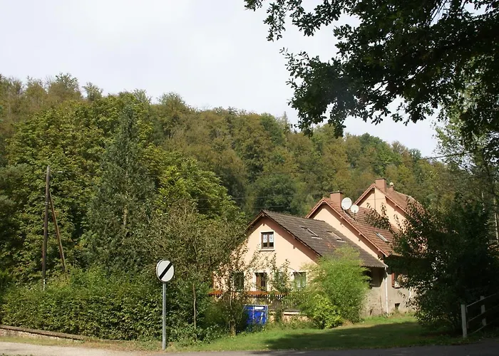 Vakantiehuis Forest Retreat In Vosges Hanviller