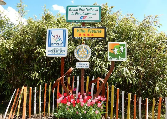 Forest Retreat In Vosges Hanviller