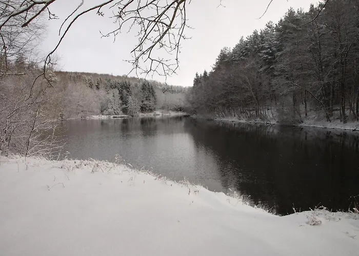 Vakantiehuis Forest Retreat In Vosges Hanviller