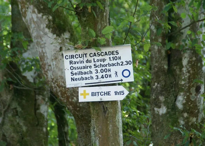 Vakantiehuis Forest Retreat In Vosges Hanviller