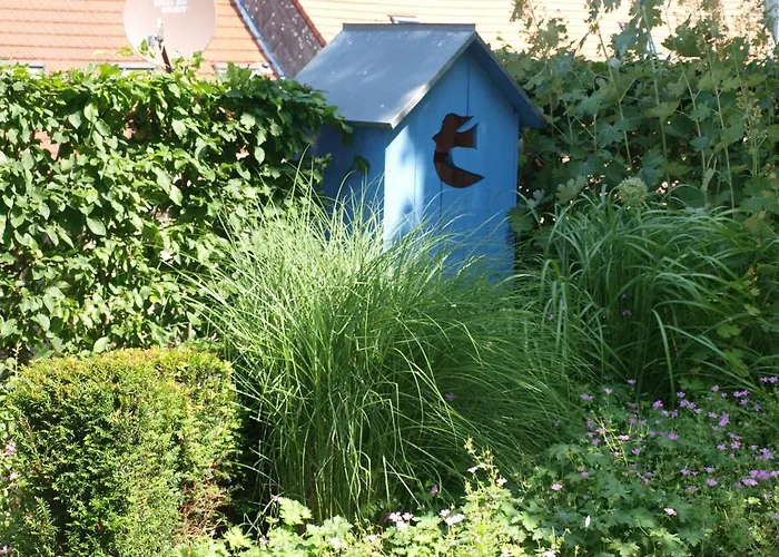 Forest Retreat In Vosges Hanviller