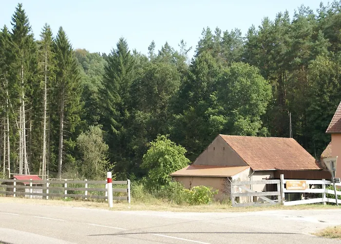 Vakantiehuis Forest Retreat In Vosges Hanviller